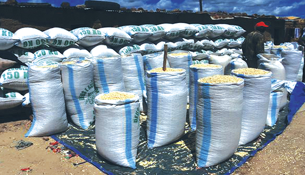 Crédito do FADA impulsiona produção de milho na Matala e pode reactivar capacidade da Nova Cimor